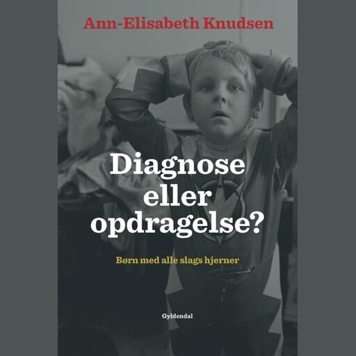 Diagnose eller opdragelse, Ann-Elisabeth Knudsen
