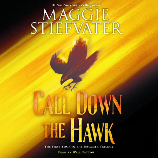 Call Down the Hawk (The Dreamer Trilogy, Book 1), Maggie Stiefvater