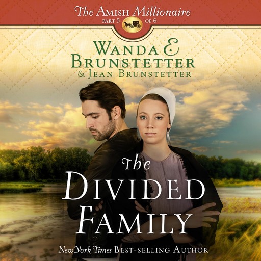 The Divided Family, Wanda E Brunstetter, Jean Brunstetter