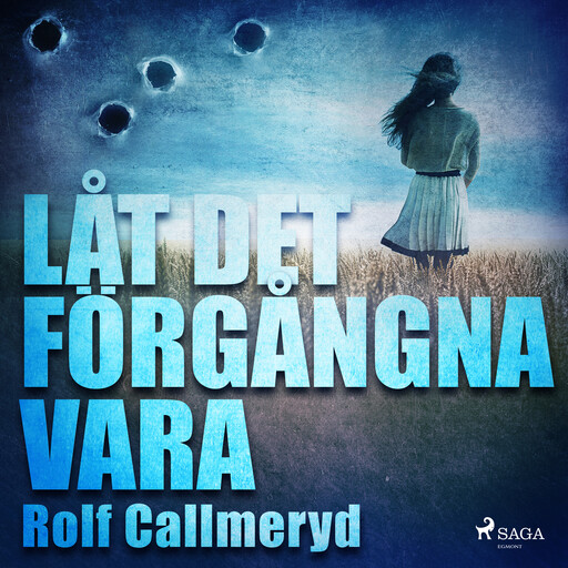 Låt det förgångna vara, Rolf Callmeryd