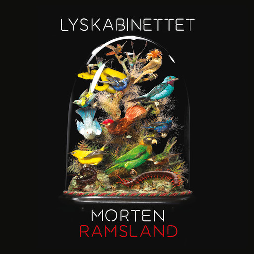 Lyskabinettet, Morten Ramsland