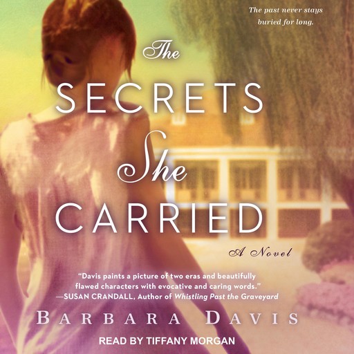 The Secrets She Carried, Barbara Davis
