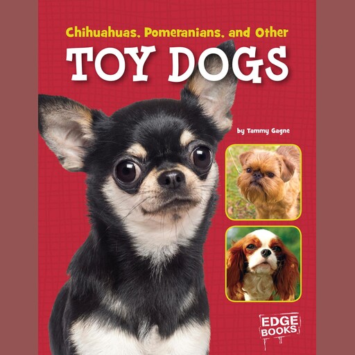 Chihuahuas, Pomeranians, and Other Toy Dogs, Tammy Gagne