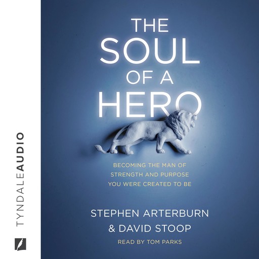 The Soul of a Hero, Stephen Arterburn, David Stoop