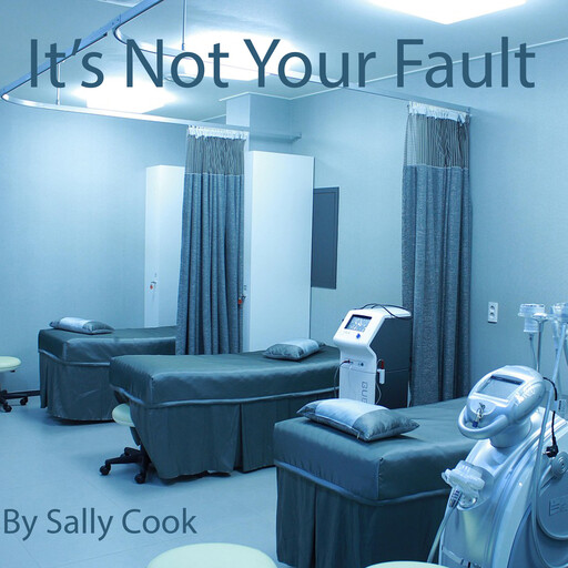 It's Not Your Fault, Sally Cook