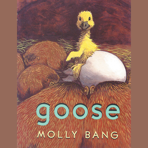 Goose, Molly Bang