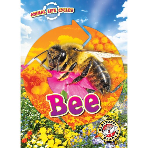 Animal Life Cycles: Bee, Rebecca Sabelko