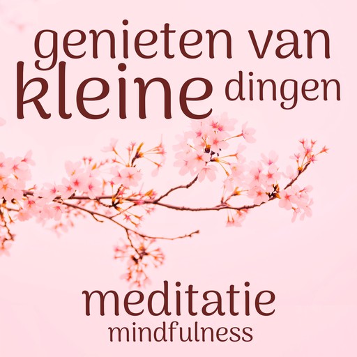 Genieten van de Kleine Dingen: Mindfulness Meditatie, Suzan van der Goes