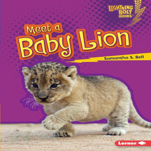 Meet a Baby Lion, Samantha Bell