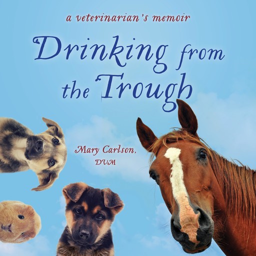 Drinking from the Trough, DVM, Mary Carlson