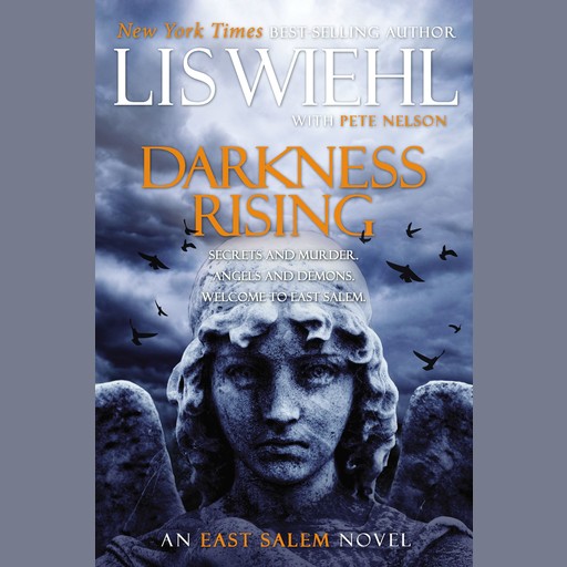 Darkness Rising, Lis Wiehl, Pete Nelson