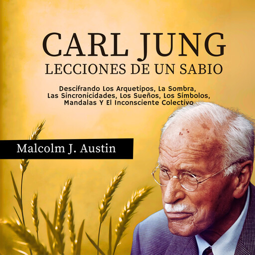Carl Jung - Lecciones de un Sabio, Malcolm J. Austin