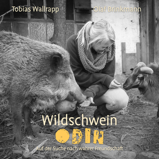 Wildschwein Odin, Tobias Wallrapp
