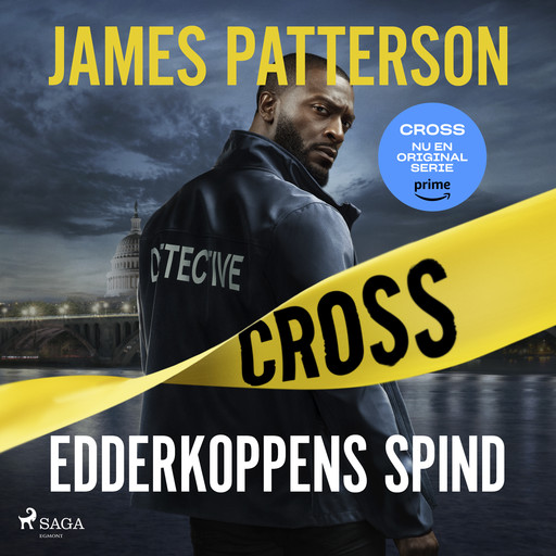 Edderkoppens spind, James Patterson