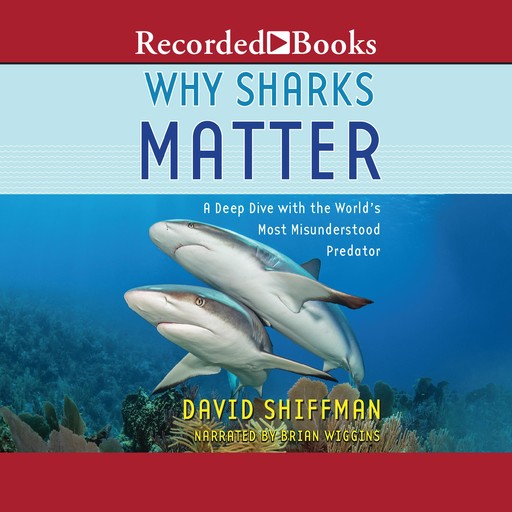 Why Sharks Matter, David Shiffman