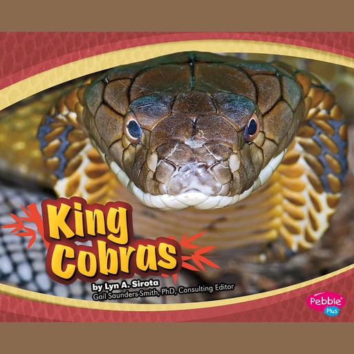 King Cobras, Joanne Mattern