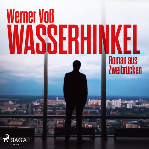 Wasserhinkel - Roman aus Zweibrücken, Werner Voß