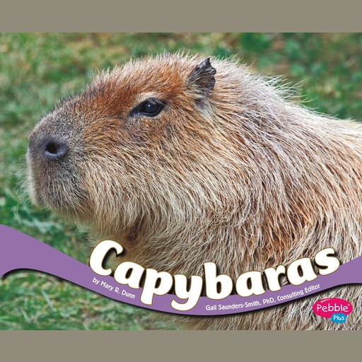 Capybaras, Mary Dunn