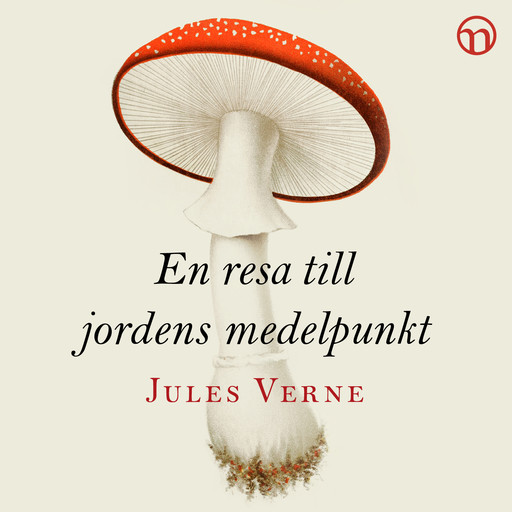 En resa till jordens medelpunkt, Jules Verne