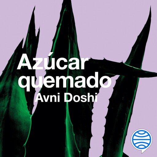 Azúcar quemado, Avni Doshi