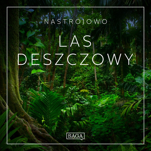 Nastrojowo - Las Deszczowy, Rasmus Broe
