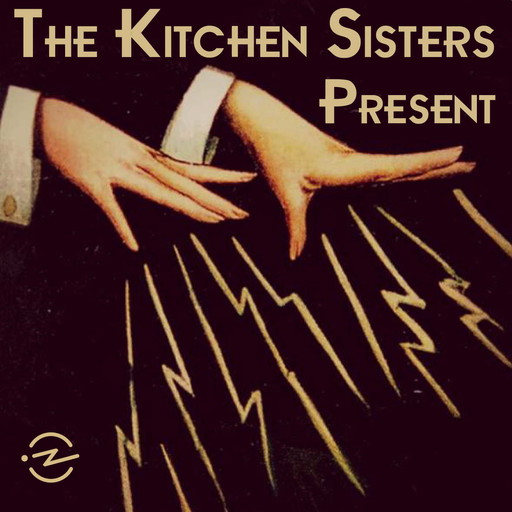 Bonus Episode - The Free-Range Archivist: Jason Scott, Radiotopia, The Kitchen Sisters