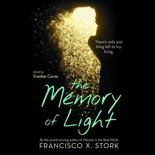 The Memory of Light, Francisco X. Stork