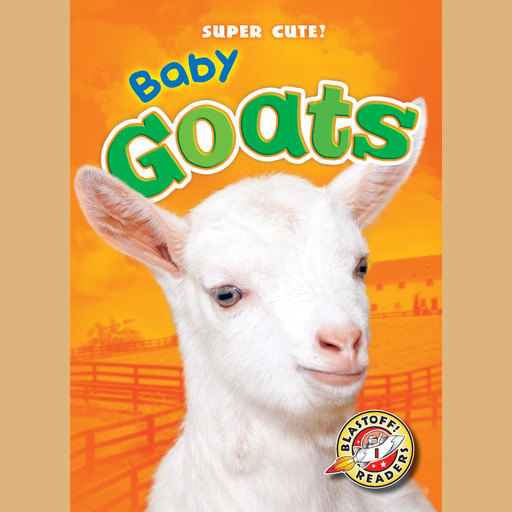 Baby Goats, Kari Schuetz