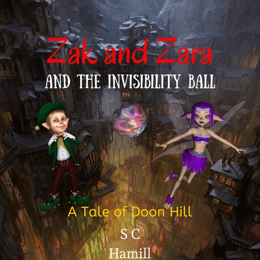 Zak and Zara and the Invisibility Ball, S.C. Hamill