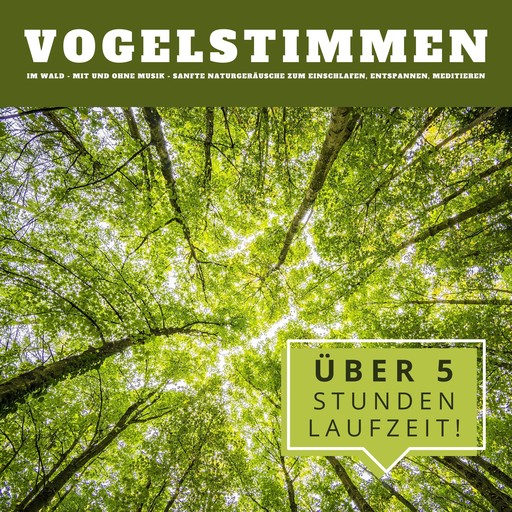 Vogelstimmen im Wald: Sanfte Naturgeräusche zum Einschlafen, Entspannen, Meditieren, Naturgeräusche Archiv Potsdam