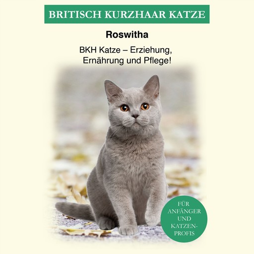 Britisch Kurzhaar Katze, Roswitha