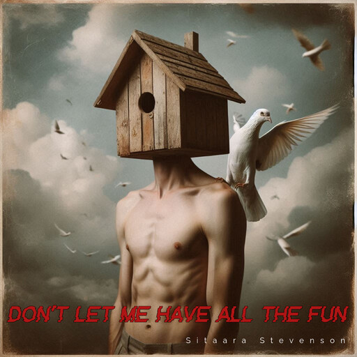 Don’t Let Me Have All the Fun, Sitaara Stevenson