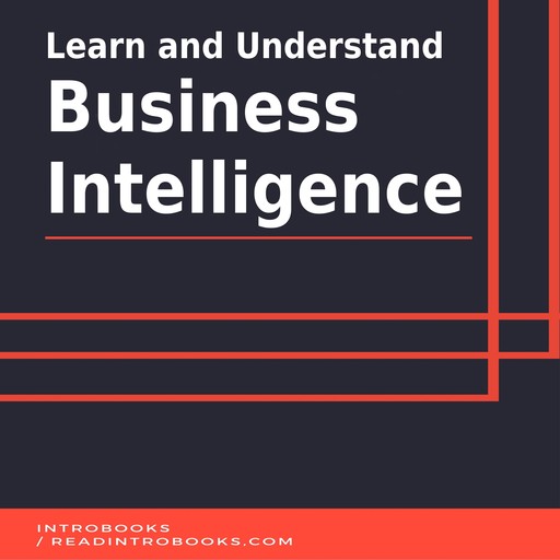 Learn and Understand Business Intelligence, IntroBooks