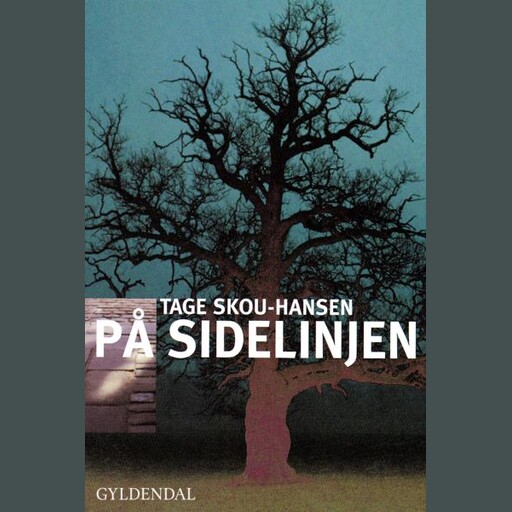 På sidelinjen, Tage Skou-Hansen