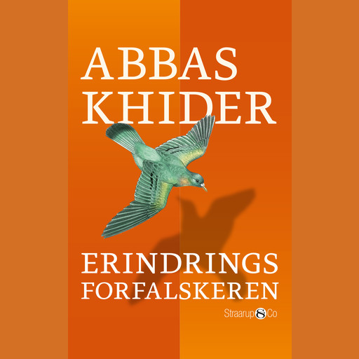 Erindringsforfalskeren, Abbas Khider