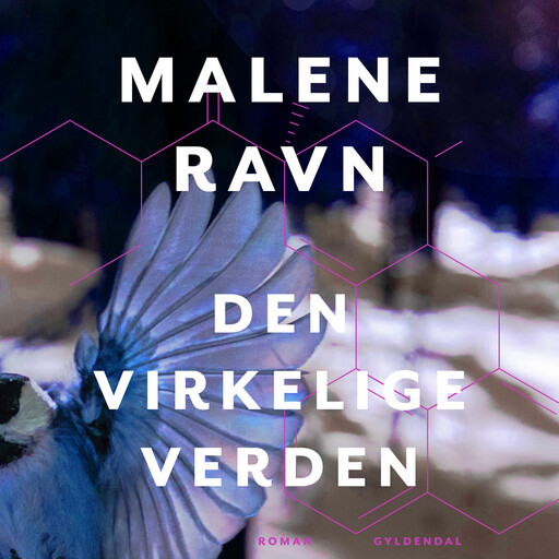 Den virkelige verden, Malene Ravn
