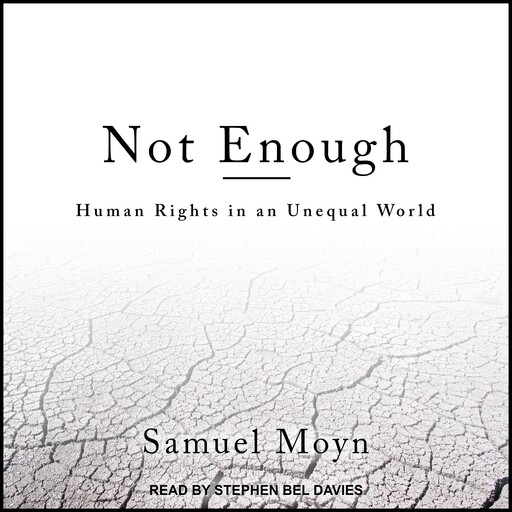 Not Enough, Samuel Moyn