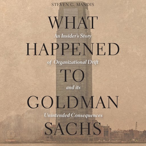 What Happened to Goldman Sachs, Steven G. Mandis