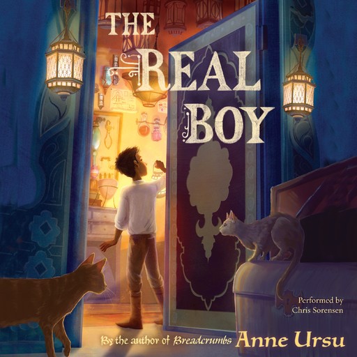 The Real Boy, Anne Ursu