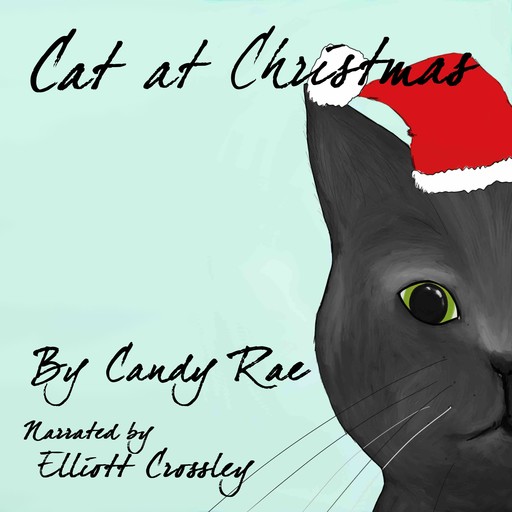 Cat at Christmas, Candy Rae