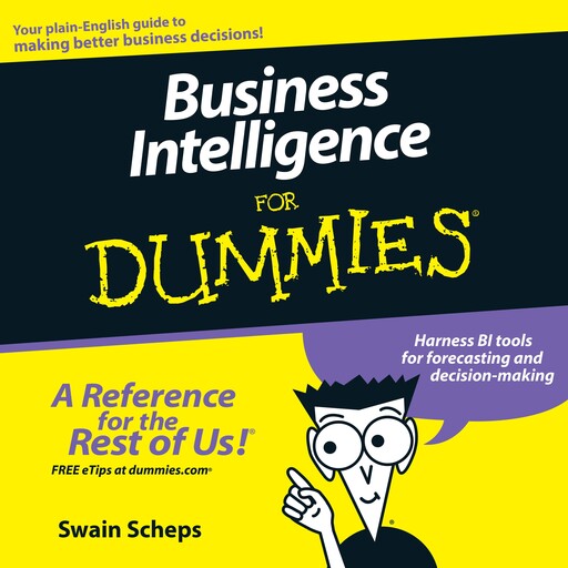 Business Intelligence for Dummies, Swain Scheps