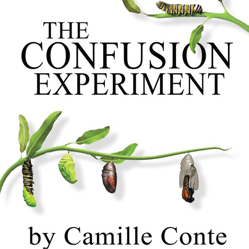 The Confusion Experiment, Camille Camille