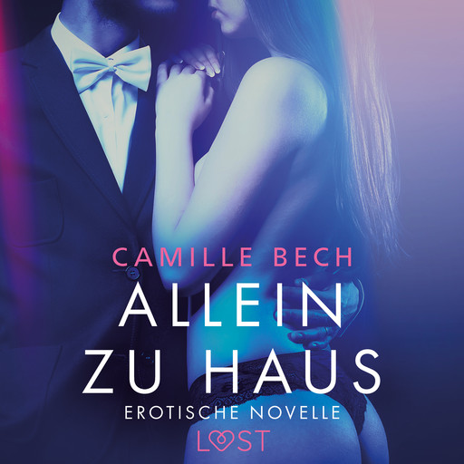 Allein zu Haus - Erotische Novelle, Camille Bech