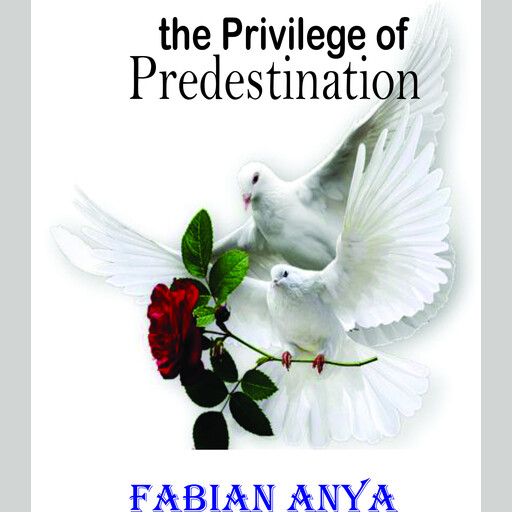 the Privilege of Predestination, Fabian Anya