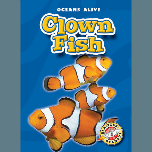 Clown Fish, Colleen Sexton
