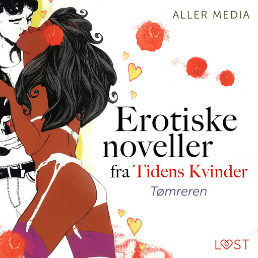 Tømreren – erotiske noveller fra Tidens kvinder, Aller Media A