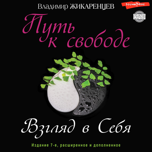 Путь к свободе. Взгляд в себя, Владимир Жикаринцев