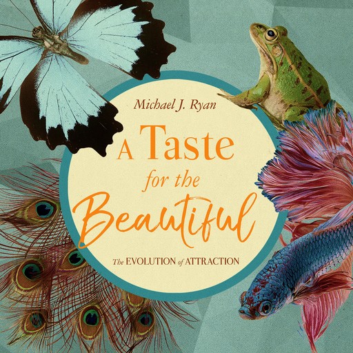 A Taste for the Beautiful, Michael J.Ryan