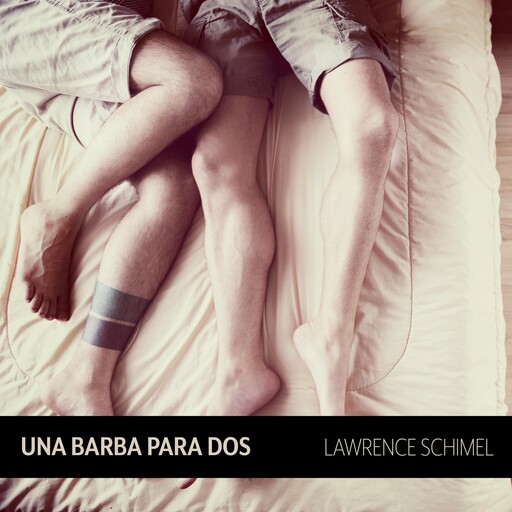 Una barba para dos, Lawrence Schimel
