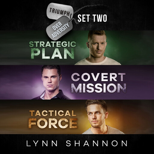 Triumph Over Adversity Military Romantic Suspense Box Set: Books 4-6, Lynn Shannon